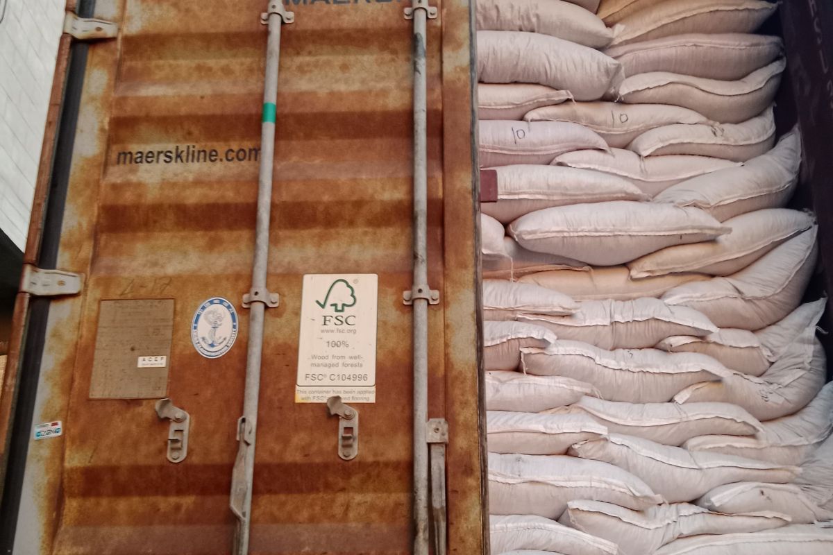 Kohenoor seed bags stacked in a shipping container at loading