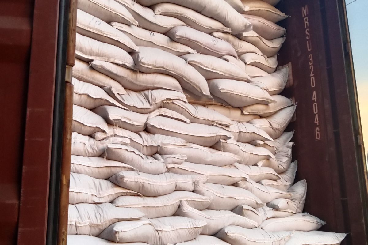 Export container loaded with Kohenoor seed bags for overseas buyers
