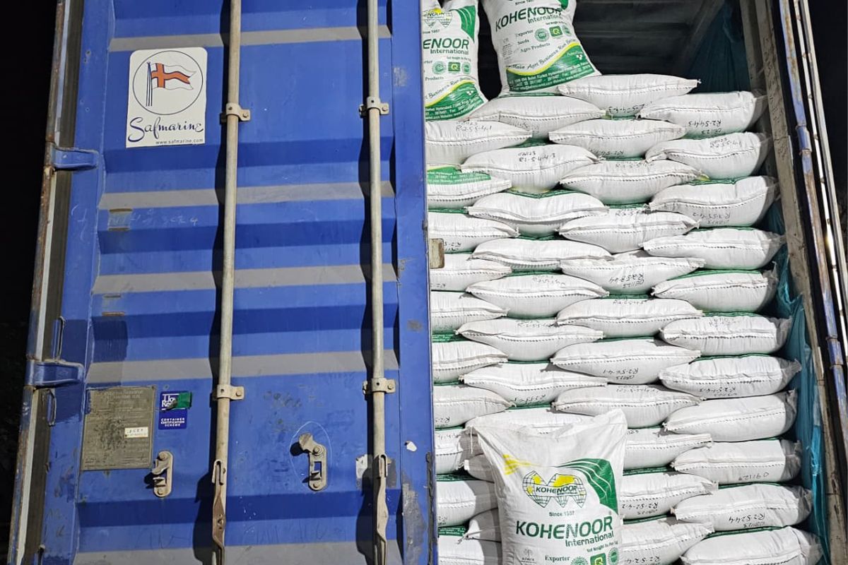 Kohenoor International seed bags loaded in an export container