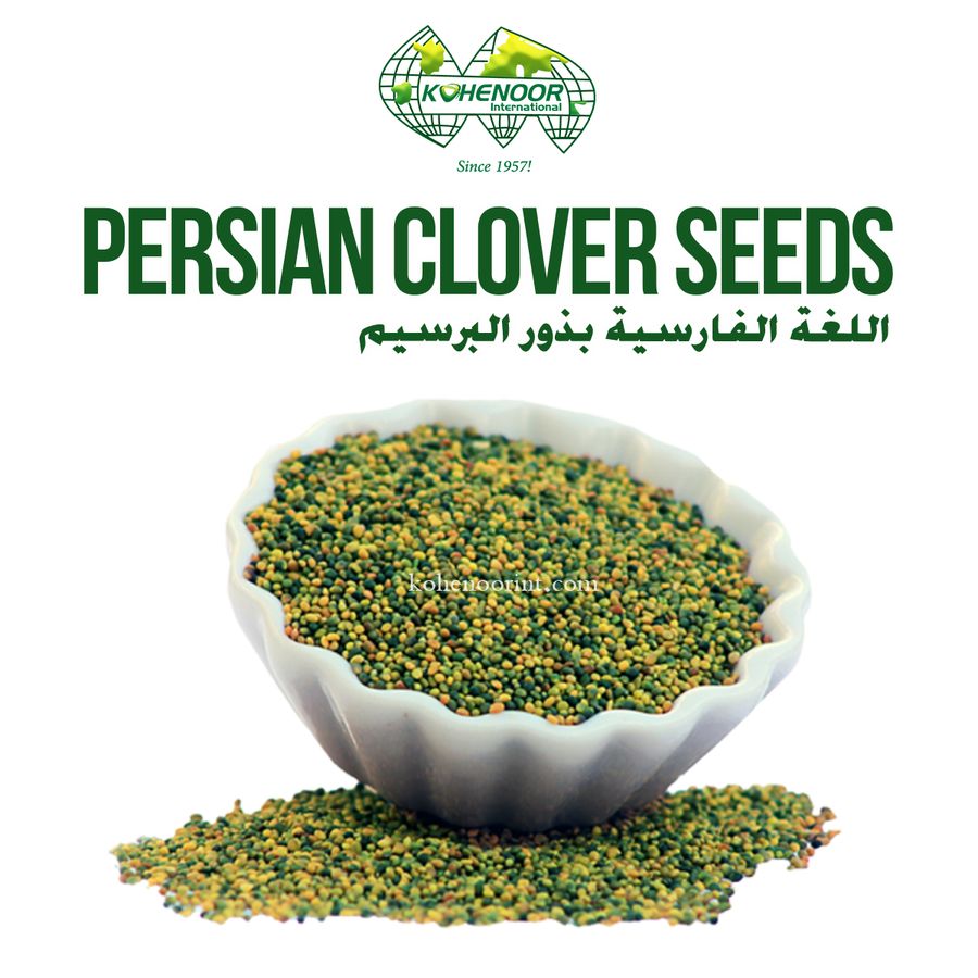 Clover / Berseem Seed — Kohenoor International export quality