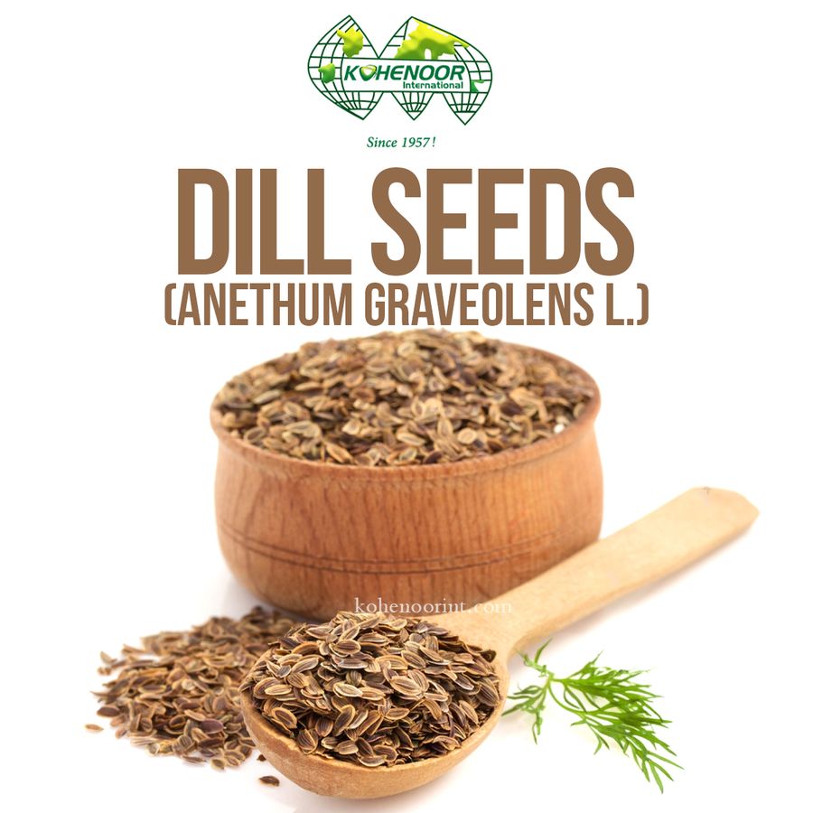 Dill Seed — Kohenoor International export quality