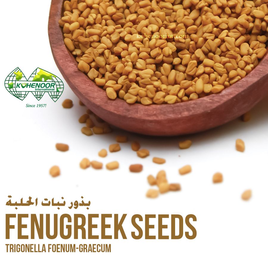 Fenugreek Seed — Kohenoor International export quality