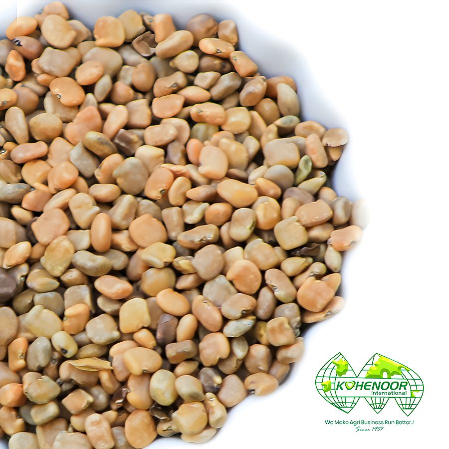 Guar (Cluster Bean) Seed — Kohenoor International export quality