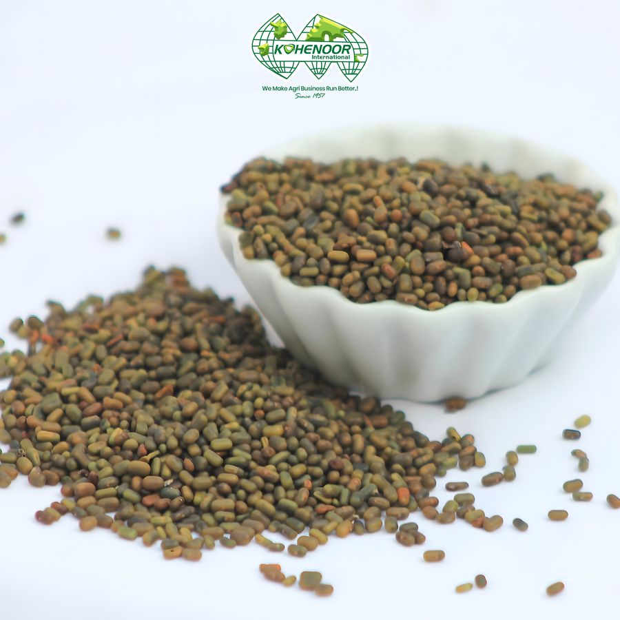 Sesbania Seed — Kohenoor International export quality